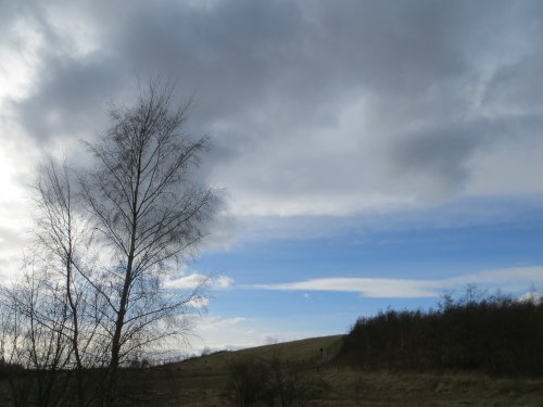 Pleasley Pit Country Park