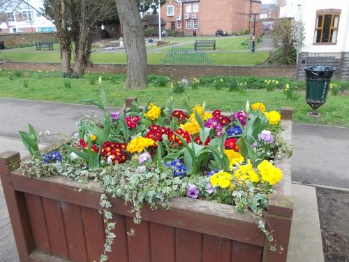Floral Display, Market Harborough