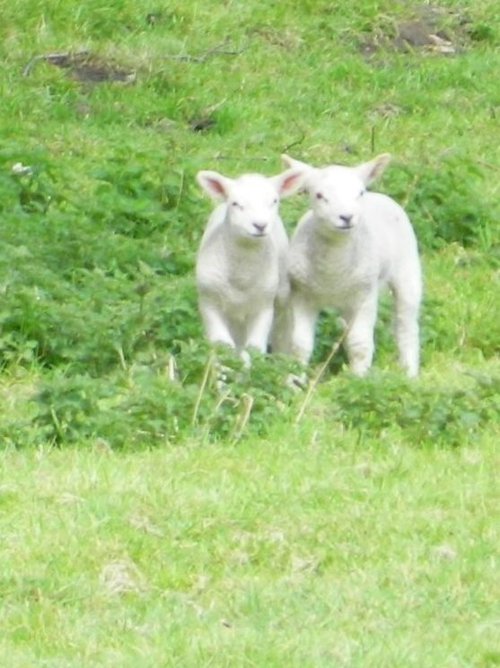 We go everywhere together!