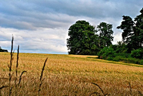 Market Bosworth country park