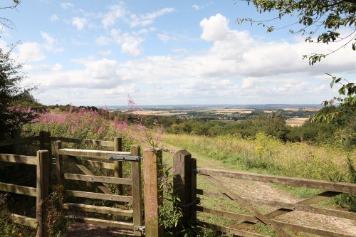Watlington Hill, Watlington