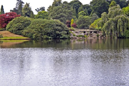 Sheffield Park & Garden