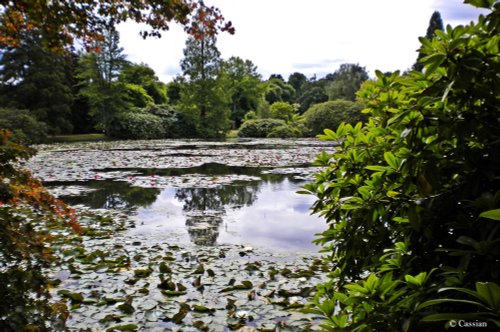 Sheffield Park Garden, Sheffield Park, East Sussex