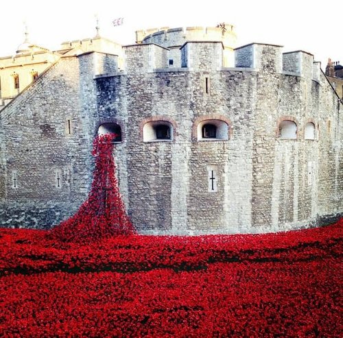 Poppies round the Tower of London