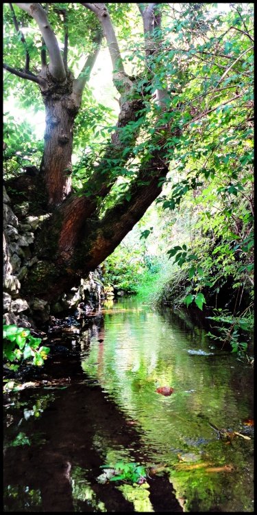 Meandering Through Ashford in the Water