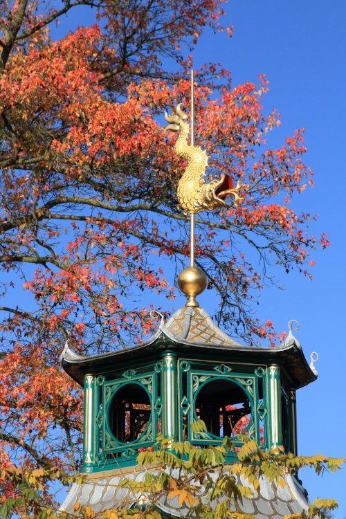 Chinese Water Garden, Cliveden