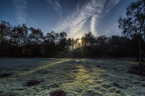 Cannock Chase Country Park