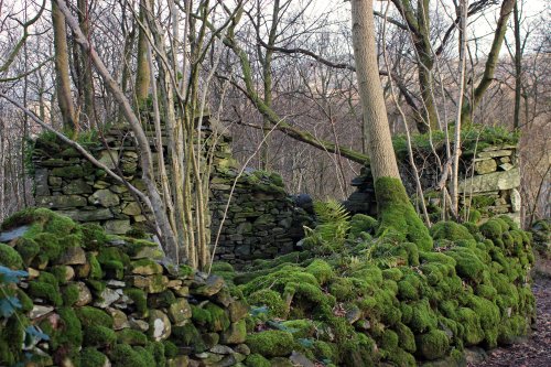 Ruins of Old Hall, Duddon Valley nr Duddon Bridge