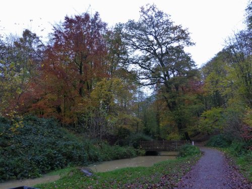 Hubards Hill Autum colour
