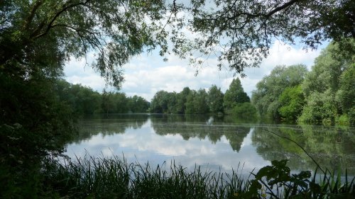 Barnwell Country Park