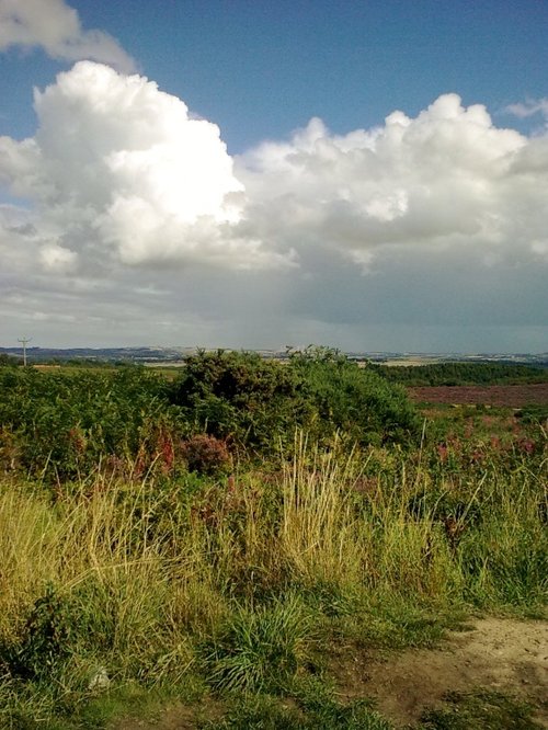 Waldrige Fell Country Park, County Durham