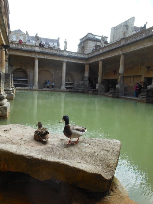 Roman Baths