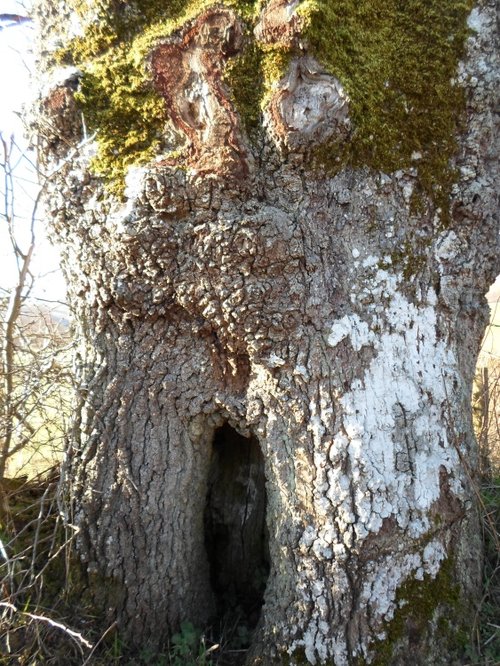 Brecon Beacons National Park