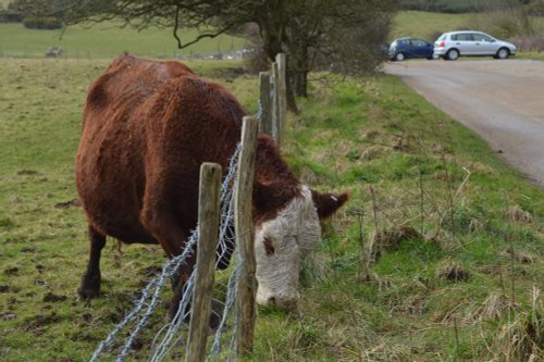 The other side  Friston.