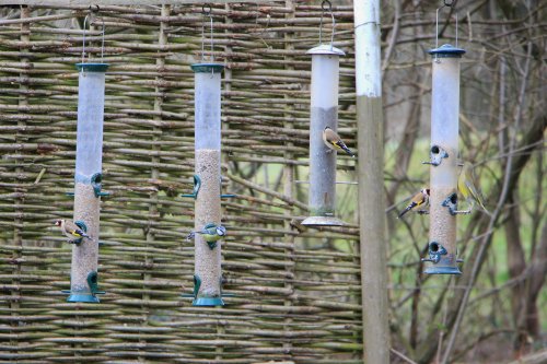 This Cafe Has Got A Lot Of Tables.