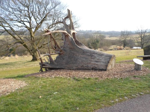 National Botanic Gardens of Wales