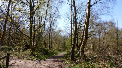 Newlands Corner