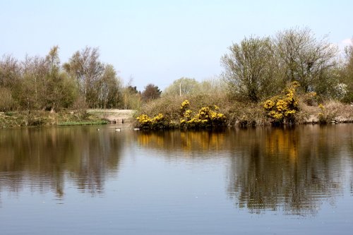 Jack House Nature Reserve