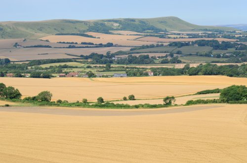 Harvest time  Wilmington