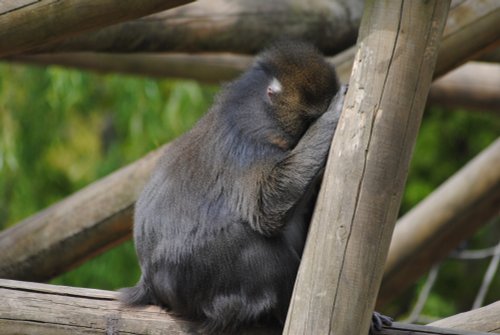 18 19 20 ready or not here I come