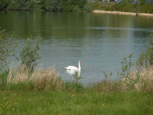 Pitsford Reservoir