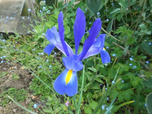 Brixworth Country Park