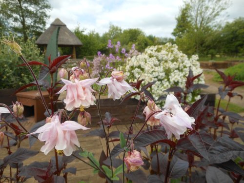 Brixworth Country Park