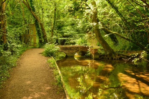 River walk  New Alresford near Winchester