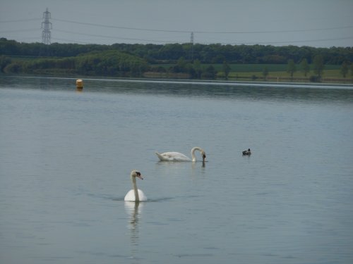 Grafham Water