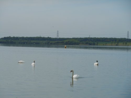 Grafham Water