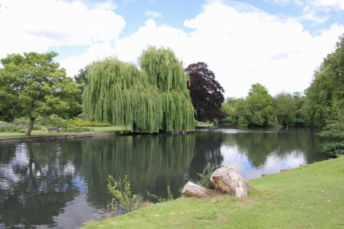 The Pond- Beddington Park