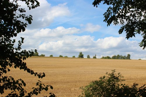 Lullingstone Country Park