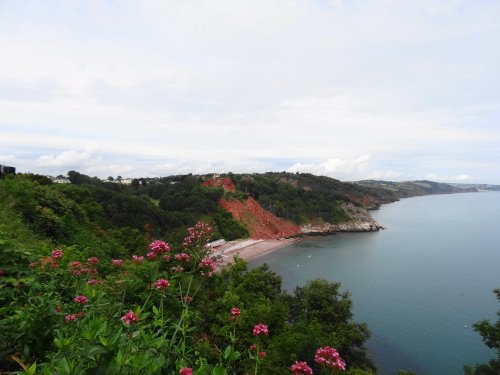 Babbacombe