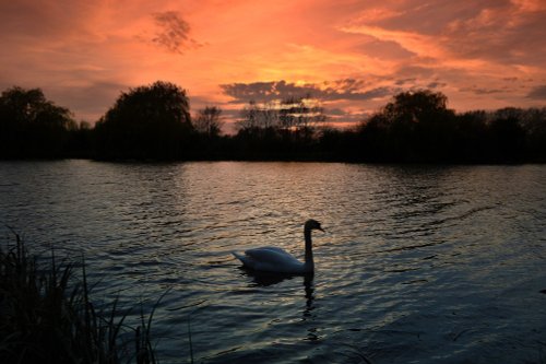 Watermead Country Park