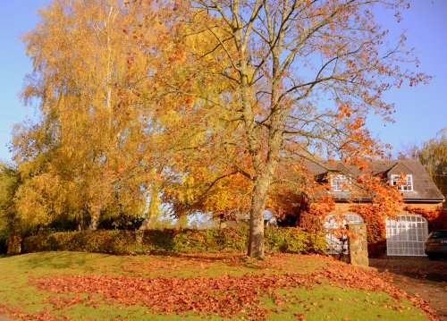 Newnham in Autumn