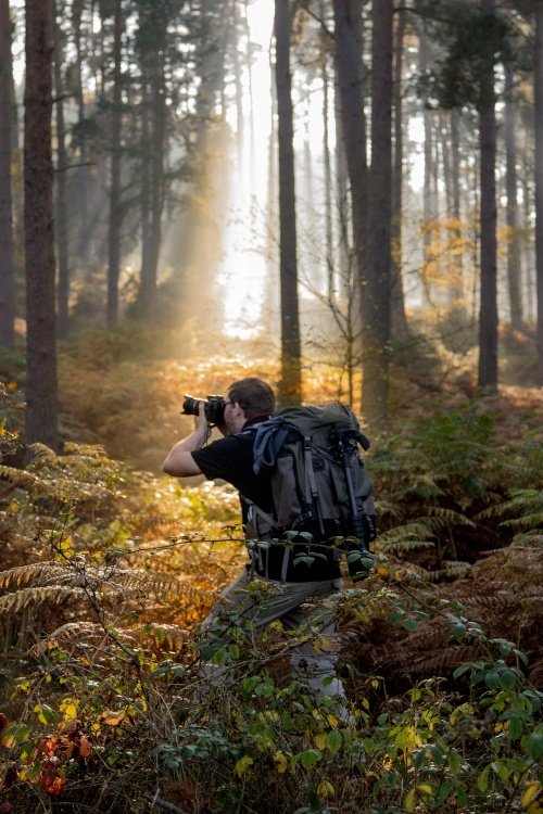 Cannock Chase Country Park
