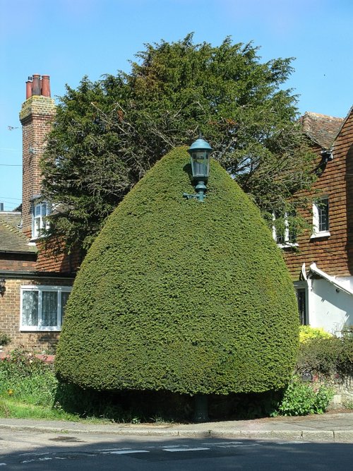Lamppost, Winchelsea