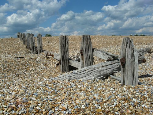 Rye Harbour Nature Reserve