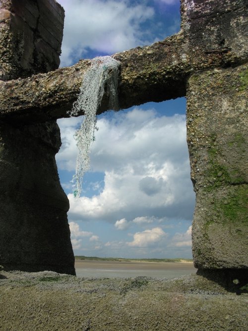 Rye Harbour Nature Reserve
