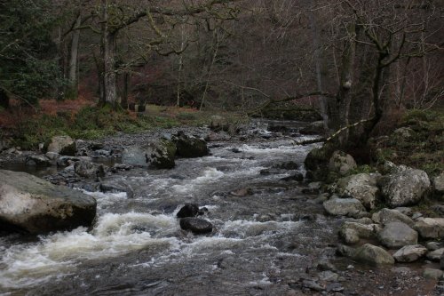 Aira Force