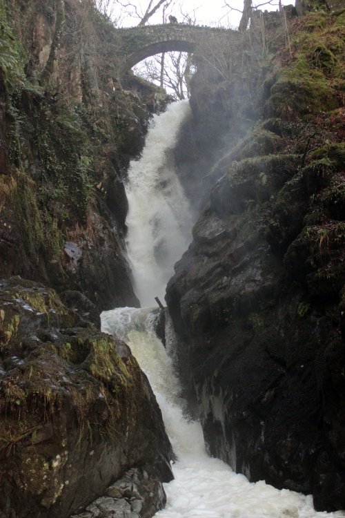 Aira Force