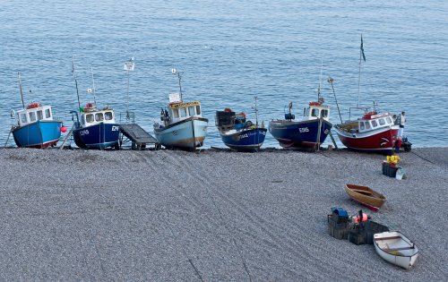 The Mackerel Boats, Beer, Devon