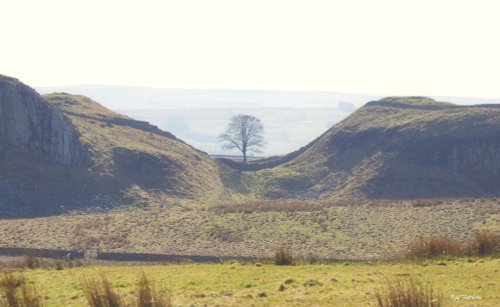 Mist over Sycamore Gap on Hadrians Wall