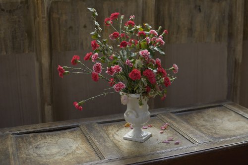 Carnations, Deddington Church, Oxfordshire