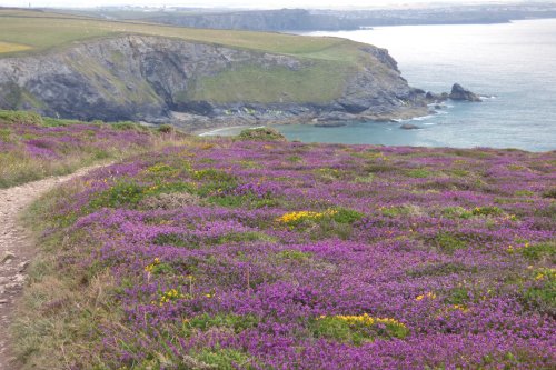 Coast between Bedruthan and Mawgan Porth, nr Newquay, Cornwall