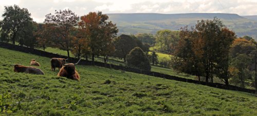 Peak District National Park