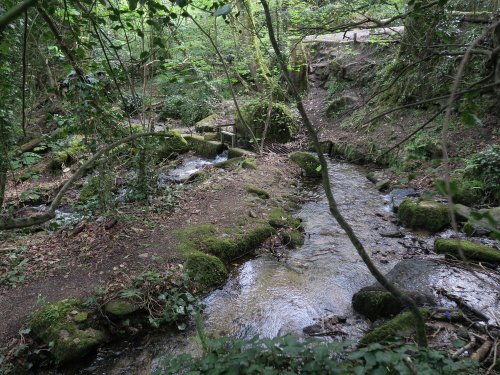 Kennall Vale Nature Reserve