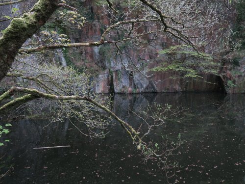 Kennall Vale Nature Reserve