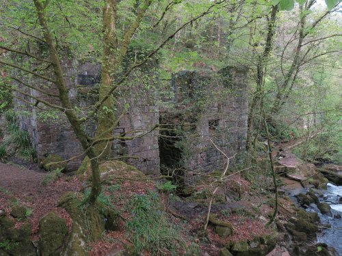 Kennall Vale Nature Reserve