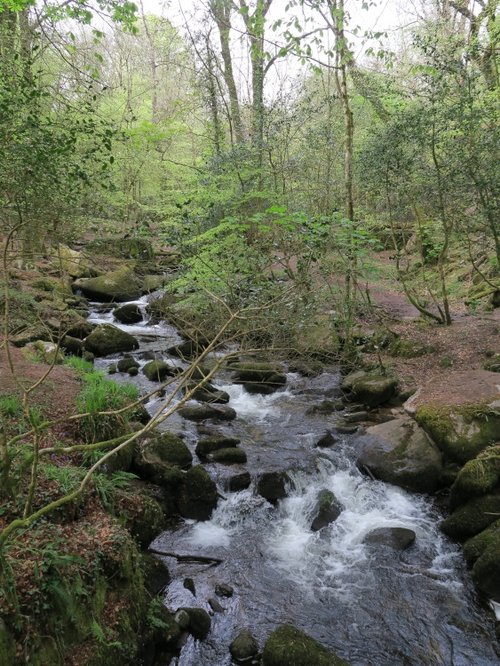 Kennall Vale Nature Reserve